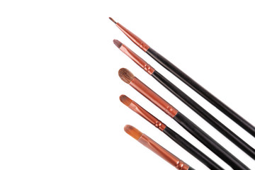 Professional brush set for makeup. Isolated