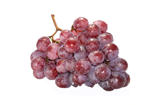 Purple grape isolate in white background