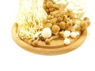 variety of mushrooms on wooden chopping board