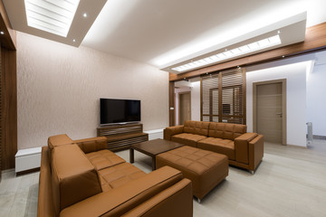 modern interior spacious living room