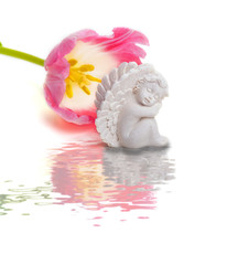 Schutzengel, Engel, Tulpe, Ostern