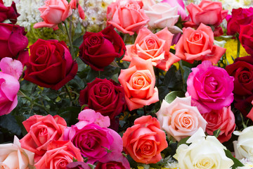 Valentines Day background with hearts and flower 