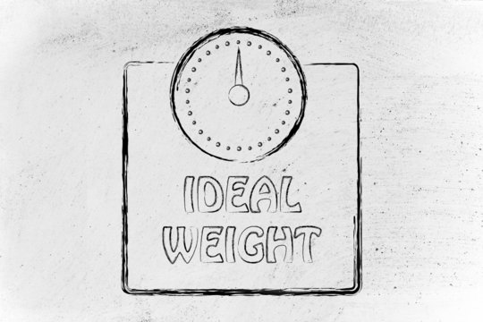nutrition, dieting and ideal weight: scale design, concept of he