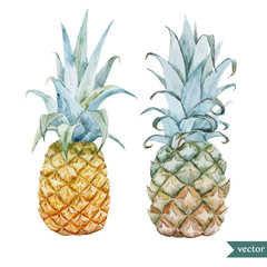 watercolor, tropical, pineapple, exotic, pattern