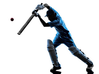 Cricket player  batsman silhouette - obrazy, fototapety, plakaty