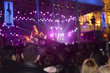 Fototapeta na wymiar People in a crowd having fun on a concert