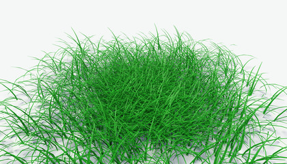 Grass