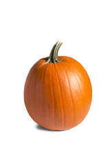 Obraz premium Pumpkin