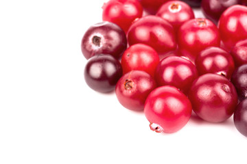Cranberry