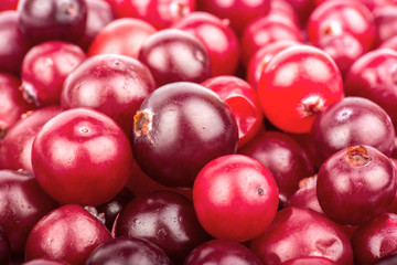 Cranberry