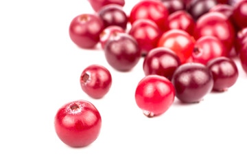 Cranberry