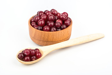 Cranberry