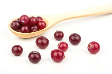 Cranberry in a spoon