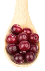 Cranberry in a spoon