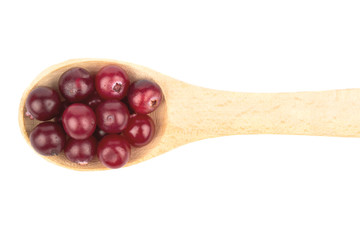 Cranberry in a spoon