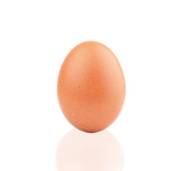 egg isolated on white background