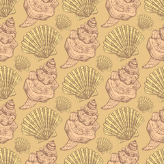 Sketch sea shell in vintage style