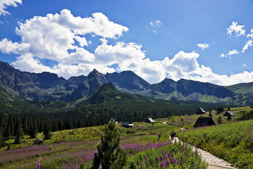 View of the most beautiful valley in the Polish Tatras
