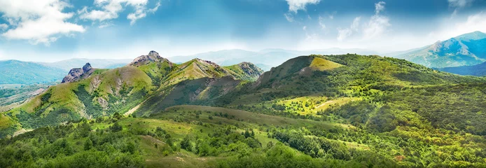 Gordijnen Green mountains covered with forest © Pavlo Vakhrushev