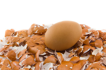 Eggshell and egg