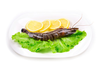 Delicious fresh shrimp
