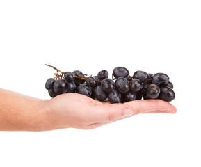 Hand holding red grape
