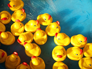 rubber ducks - 77889059