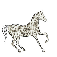 Watercolor grey horse. Vector