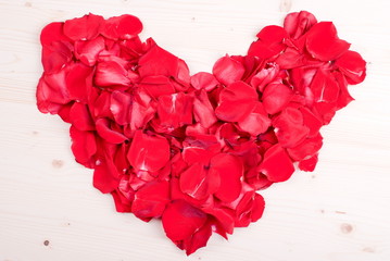rose with red petals with hearts for Valentine's Day on the boar