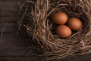 chicken organic eggs with straw in nest on burlap background