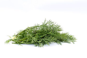 Pile of fresh dill isolated on a white background