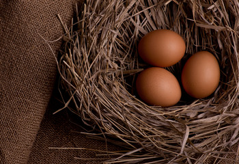 chicken organic eggs with straw in nest on rustic background