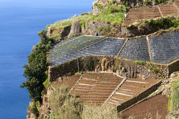 Visiting Madeira: Agriculture and Landscape