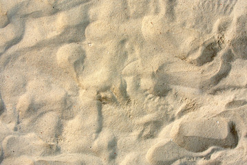 Sea Sand Texture