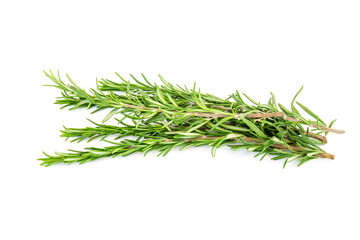 Rosemary isolated on white