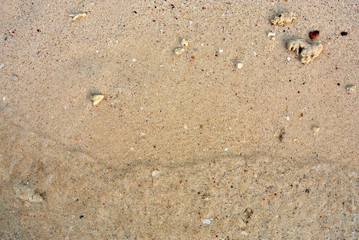 Sea Sand Texture