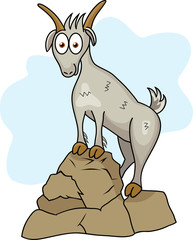 Funny goat
