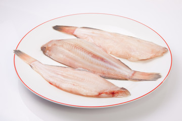 Raw sole fish