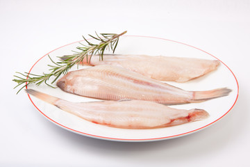Raw sole fish with rosemary