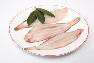 Raw sole fish with bay branch