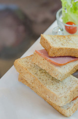  toasted sandwich