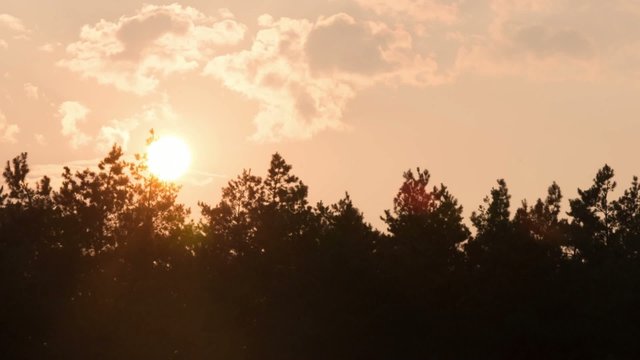 Sunrise with cloud-drift and trees, time lapse