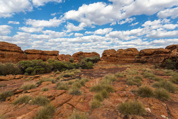 Obraz premium Kings canyon