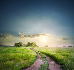 Rural road in field with green grass - 77897696