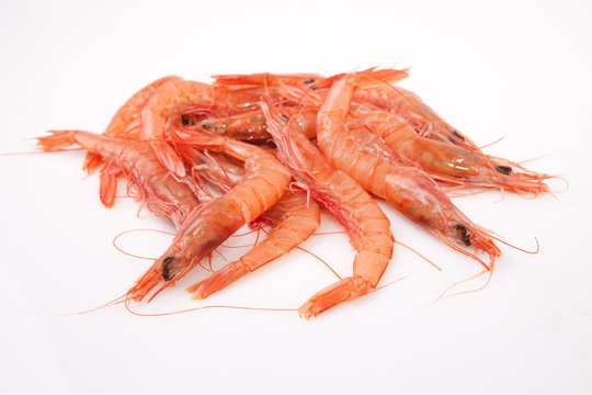 Spanish rice shrimps
