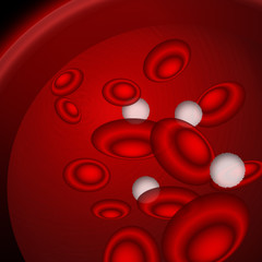 Blood cells
