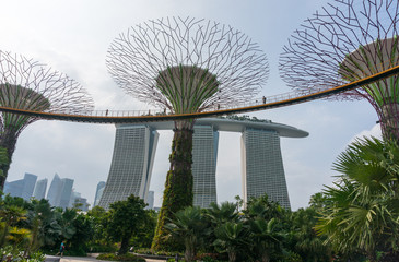 Super tree and Marina bay sands, Singapore