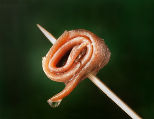 anchovy