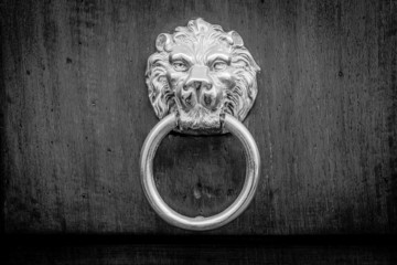 Typical ancient door knocker with lion face, b&w conversion