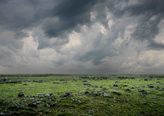 The green field in the rain
